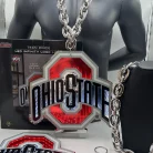 1,000 word product description for "Ohio State Buckeyes LED Neon Light Chain"